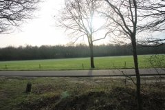 IMG_5961-Middel