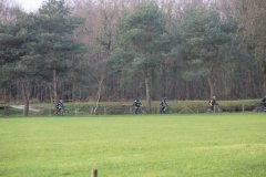 IMG_5978-Middel