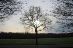 IMG_6002-Middel